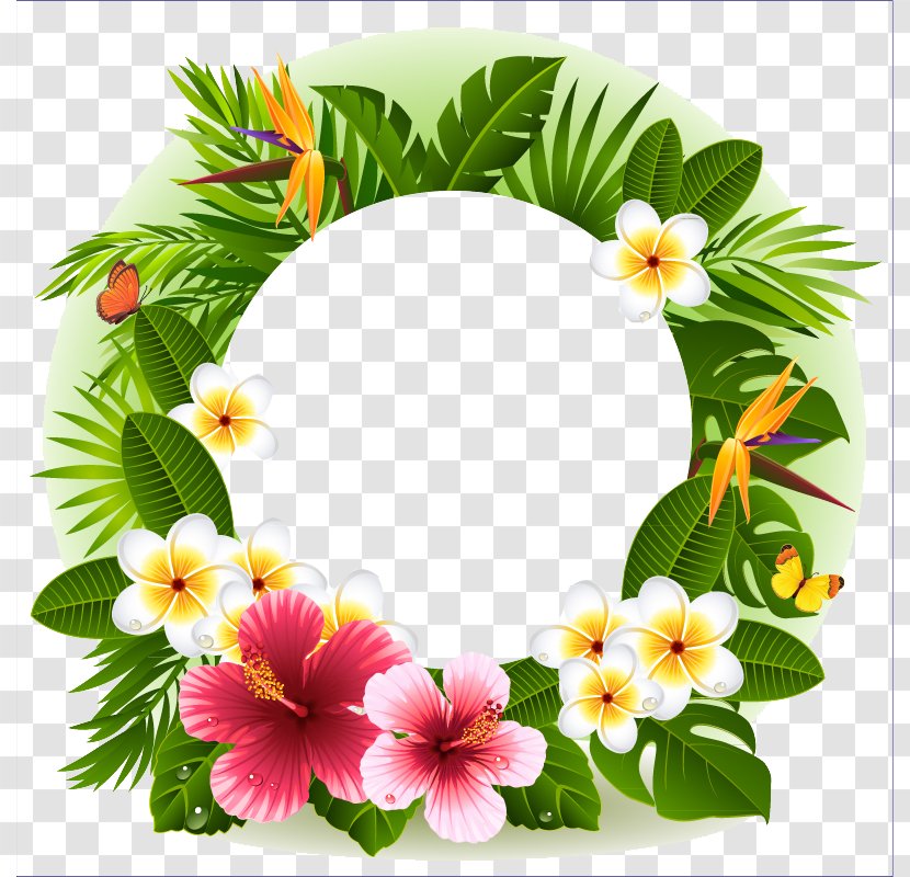 Tropical Flower Decorative Borders - Floristry - Tropics Transparent PNG