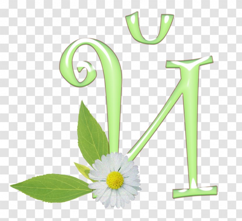 Baby Alphabet Flower Green Font - Plant Transparent PNG