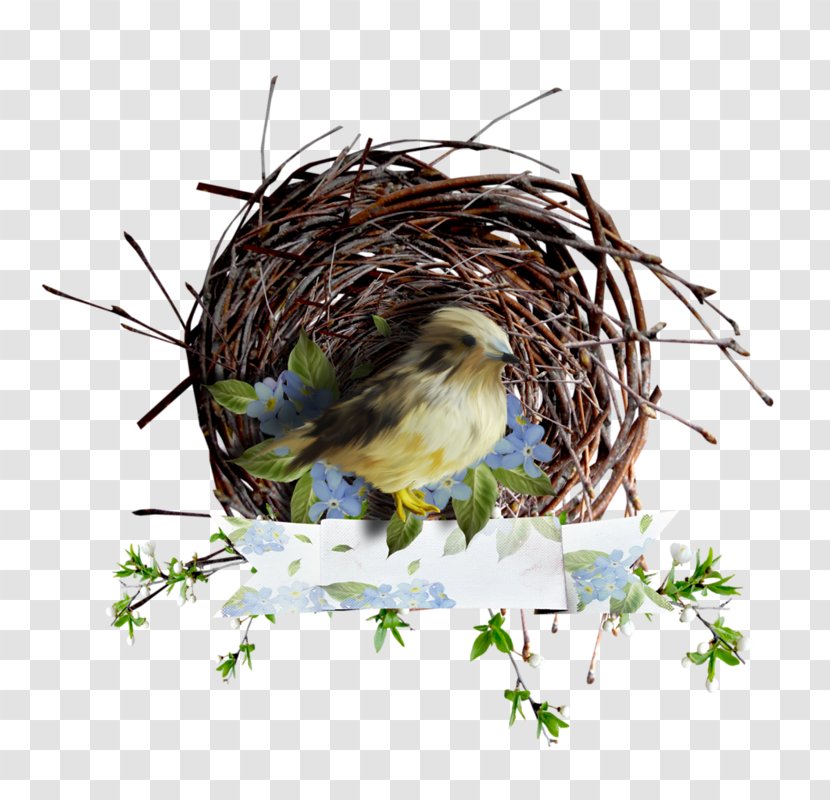 Bird House Sparrow Finches Owl - American Goldfinch Transparent PNG