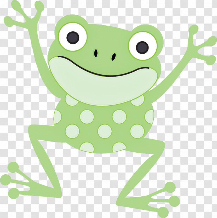 Tree Frog True Frog Frogs Amphibians Edible Frog Transparent PNG