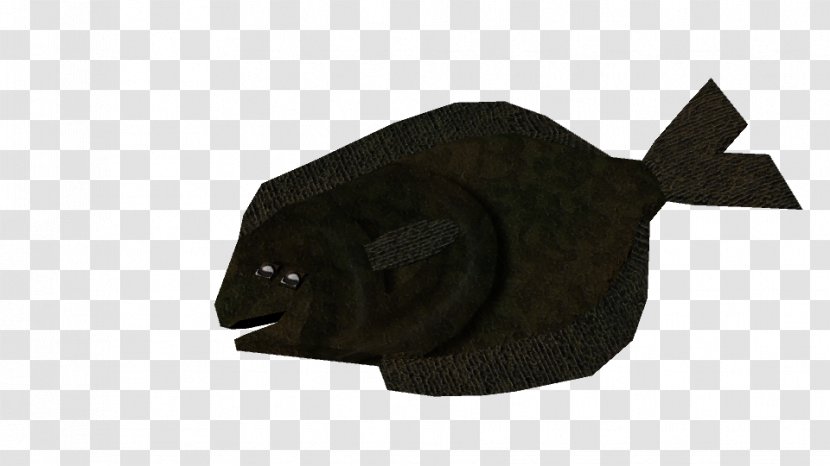 Snout Carnivora Animal - Figure - Cuttle Transparent PNG