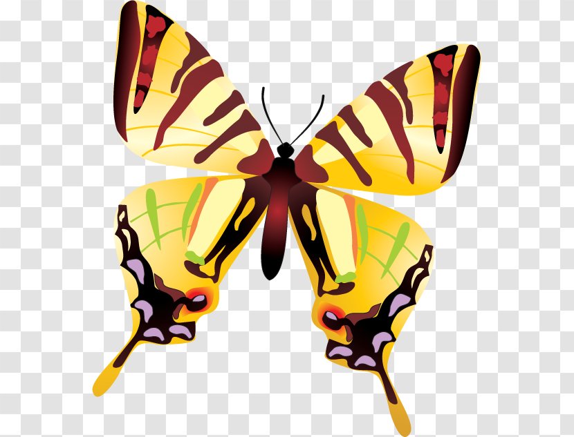 Butterfly Insect Embroidery Clip Art Transparent PNG