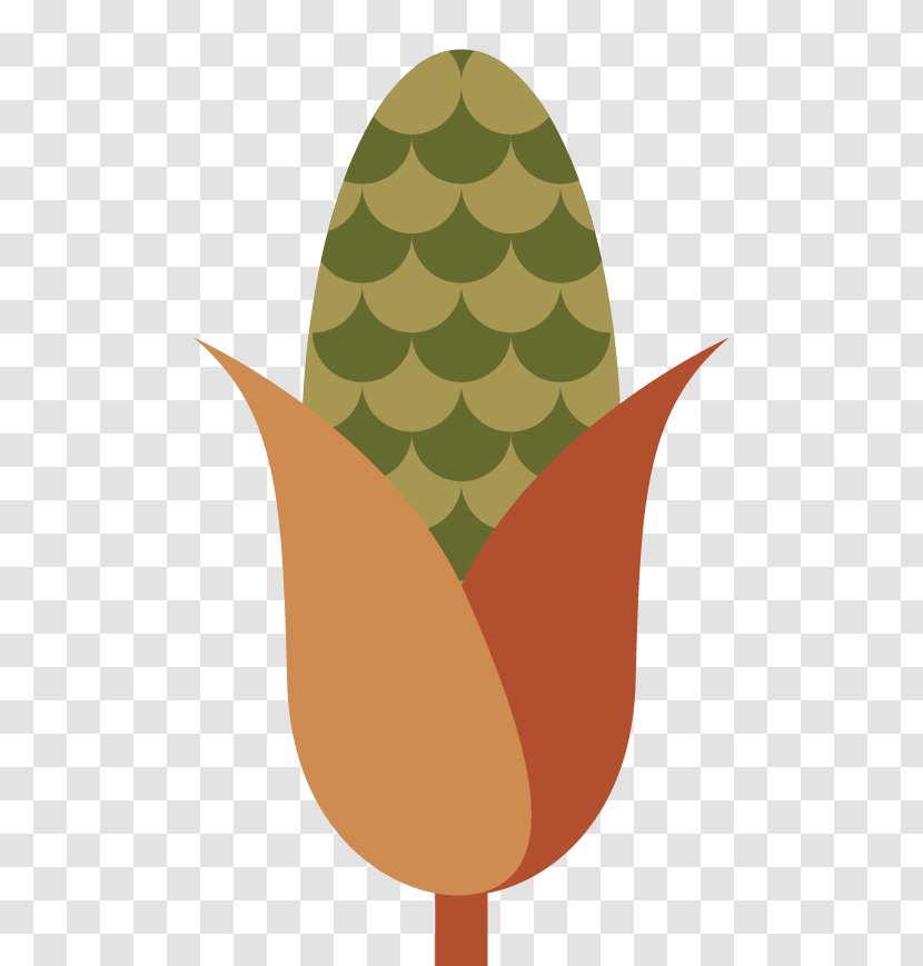 Download Google Images Maize - Corn Image Transparent PNG
