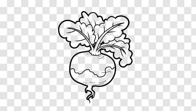Vegetarian Cuisine Turnip Drawing Vegetable Coloring Book - Watercolor Transparent PNG
