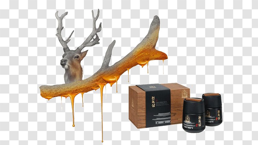 Velvet Antler Red Deer Ginseng Transparent PNG