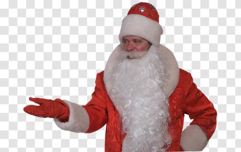 Santa Claus Christmas Ornament Beard - Fictional Character Transparent PNG