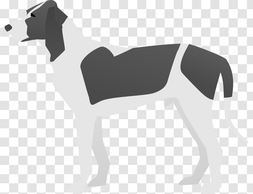 Italian Greyhound American Foxhound Chihuahua Irish Wolfhound Dog Breed - Dog! Clipart Transparent PNG
