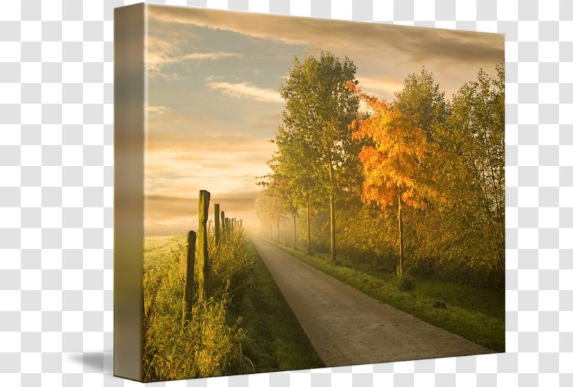 Imagekind Painting Art Walking Canvas Transparent PNG