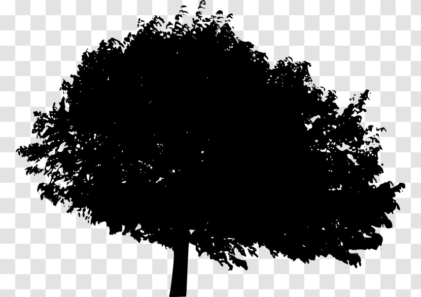 Image Desktop Wallpaper Silhouette Photograph - Black M - Tree Silhoutte Transparent PNG