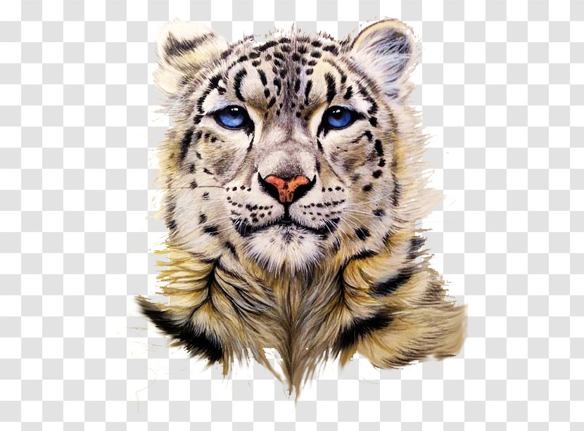 Snow Leopard Tiger Clouded Painting - Siberian Weasel - Head Portrait Drawing Transparent PNG