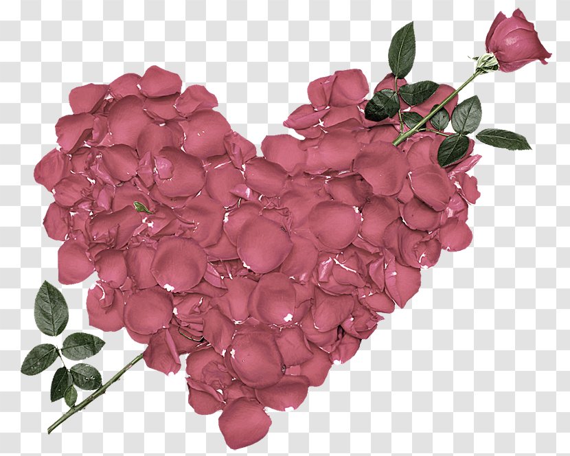 Valentine's Day Rose Desktop Wallpaper WhatsApp Heart - Pink Transparent PNG