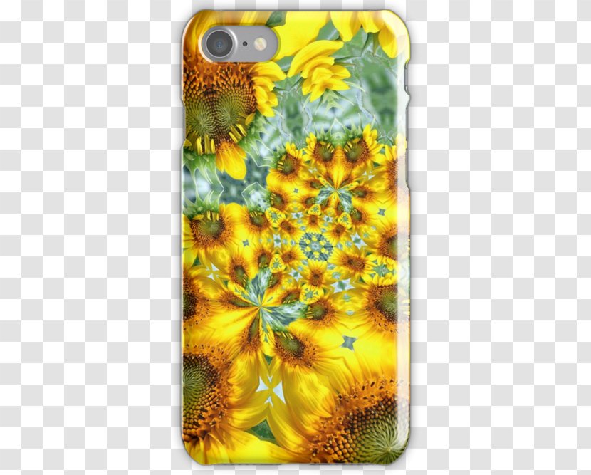 Sunflower Seed M Sunflowers Mobile Phone Accessories Phones - Plant - Decorative Material Transparent PNG