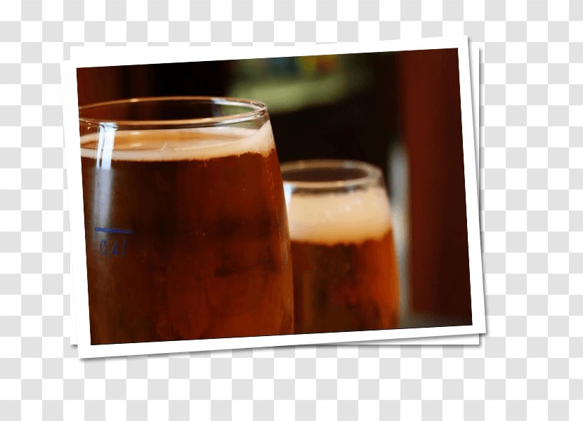Beer Non-alcoholic Drink Distilled Beverage Sue's Coffee House Wine - Recienergy Bison Psdpes Transparent PNG