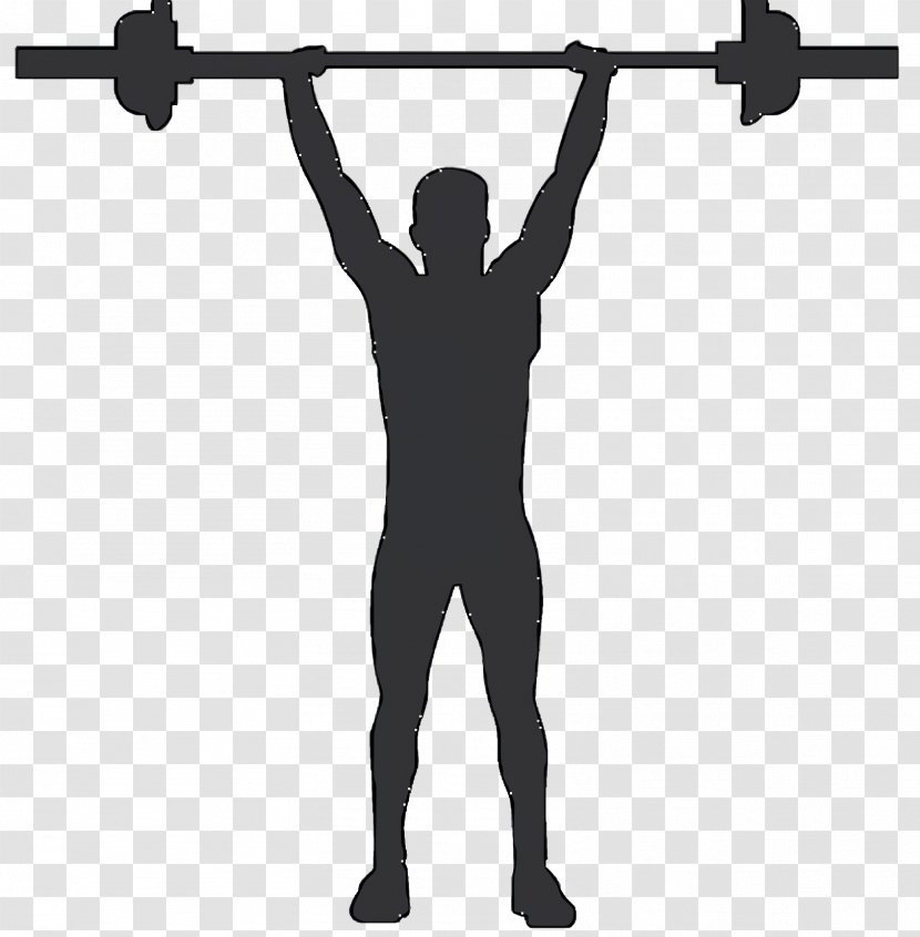 Education Background - Pullup - Bodypump Calisthenics Transparent PNG