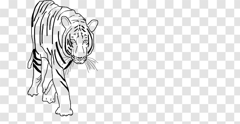 Bengal Tiger Black Clip Art - Cartoon - Animals Outline Drawing Transparent PNG