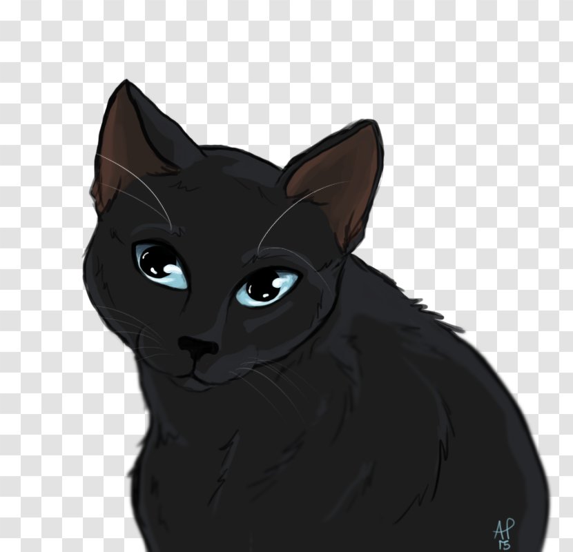 Bombay Cat Korat Black Kitten Domestic Short-haired - Paw - Odd-eyed Transparent PNG