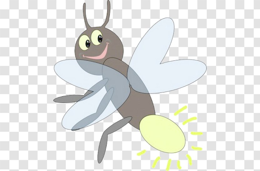 Insect Drawing Firefly Clip Art - Cartoon Transparent PNG