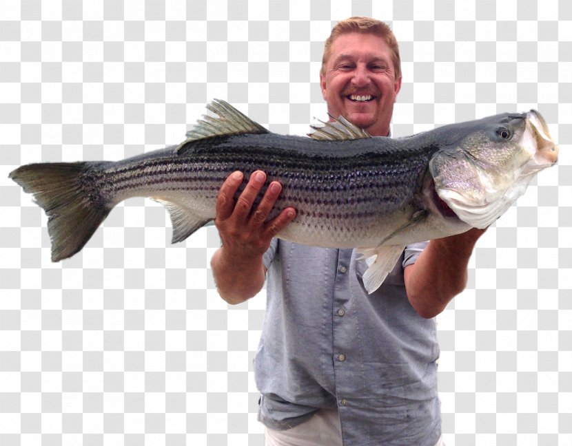 Recreational Fishing Striped Bass Jigging - Connecticut - Tough Boat On Water Transparent PNG