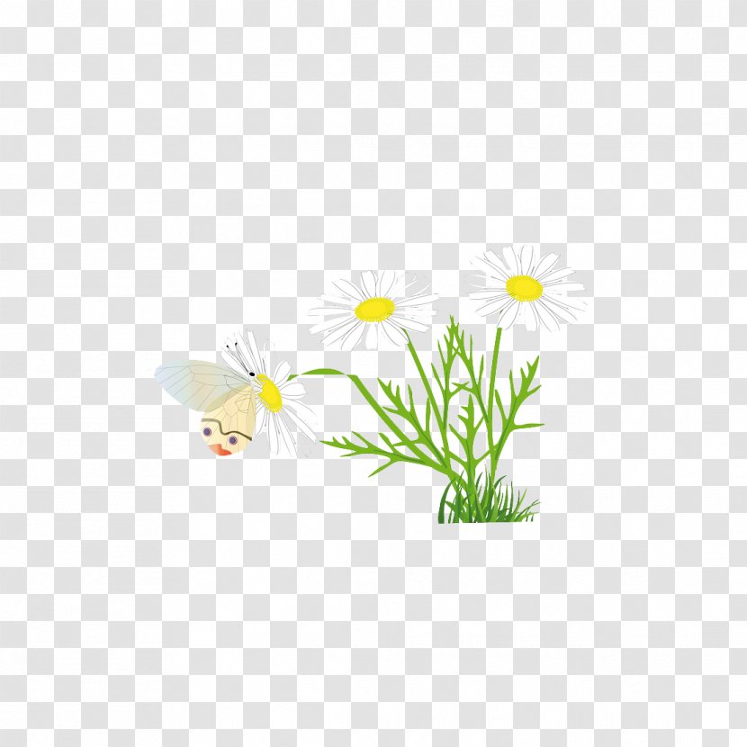 Petal Leaf Illustration - Yellow - Chrysanthemum Transparent PNG