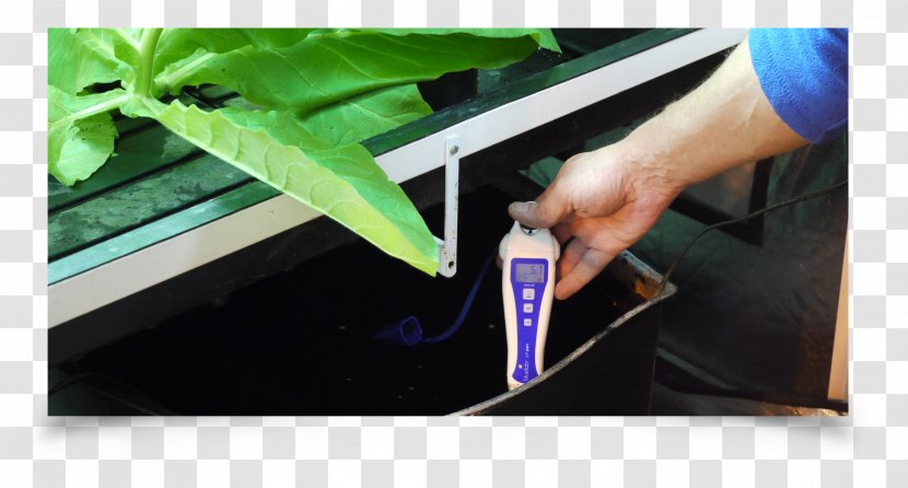 PH Meter Hydroponics Solution Nutrient - Ph Indicator - Water Transparent PNG