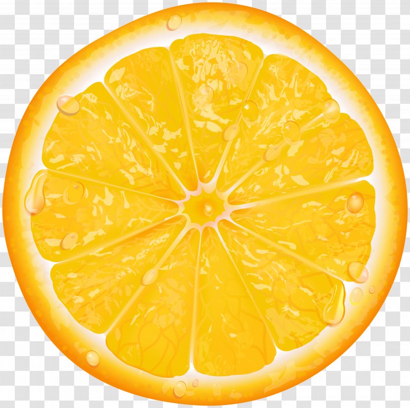 Lemon Orange Slice Clip Art - Vegetarian Food - Transparent Transparent PNG