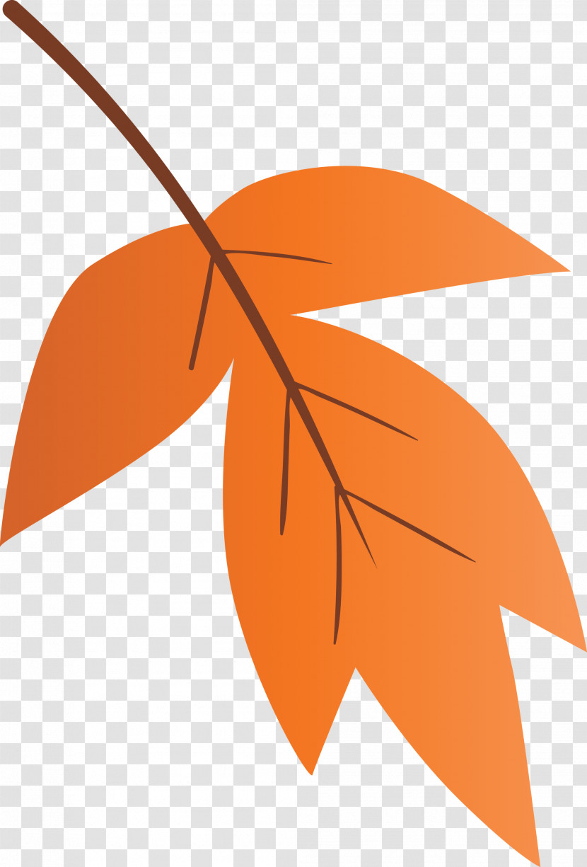 Orange Transparent PNG