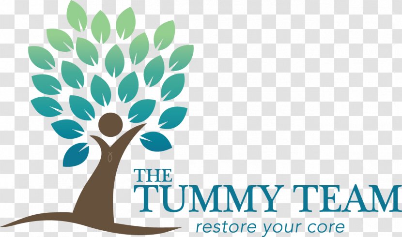 The Tummy Team Diastasis Recti Camas Physical Therapy Pregnancy - Exercise - Text Transparent PNG