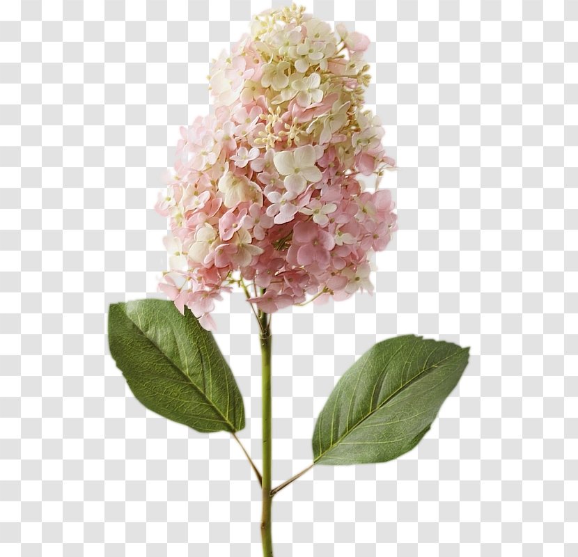 Hydrangea Flower Bouquet Artificial Cut Flowers Transparent PNG