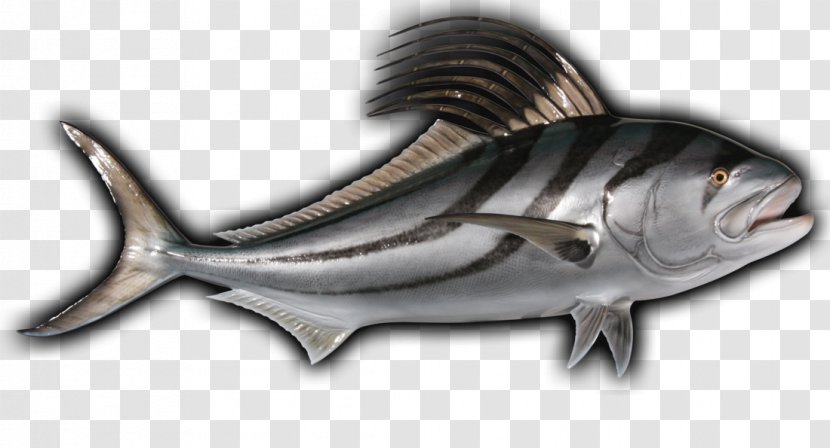 Milkfish Sardine Mackerel Oily Fish - Products Transparent PNG