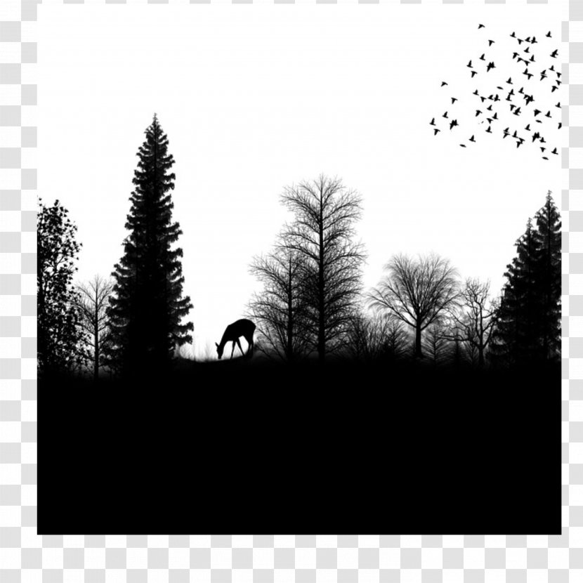 Silhouette Drawing Forest - Deer Transparent PNG