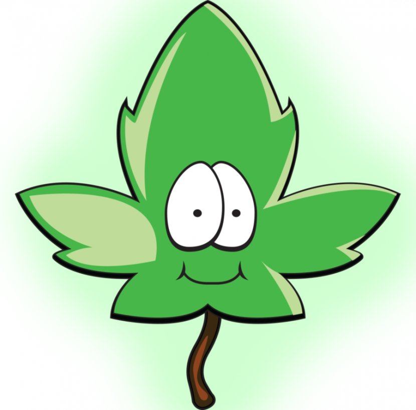 Leaf Cartoon Clip Art - Organism Transparent PNG