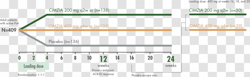 Certolizumab Pegol Clinical Study Design Trial Psoriatic Arthritis Rheumatoid - Paper Transparent PNG