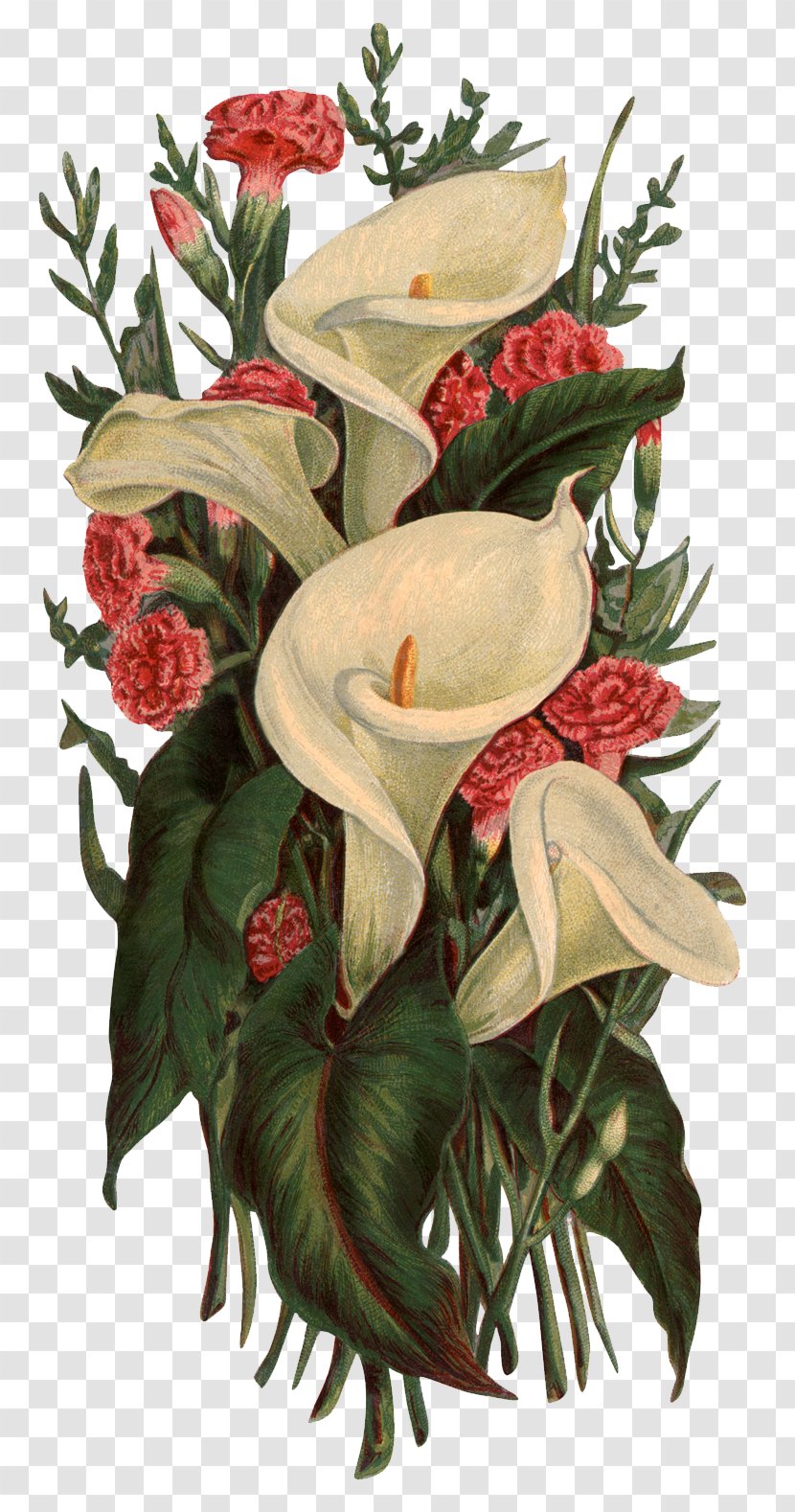 Victorian Era Flower Bouquet Lilium Clip Art - Video - Callalily Transparent PNG