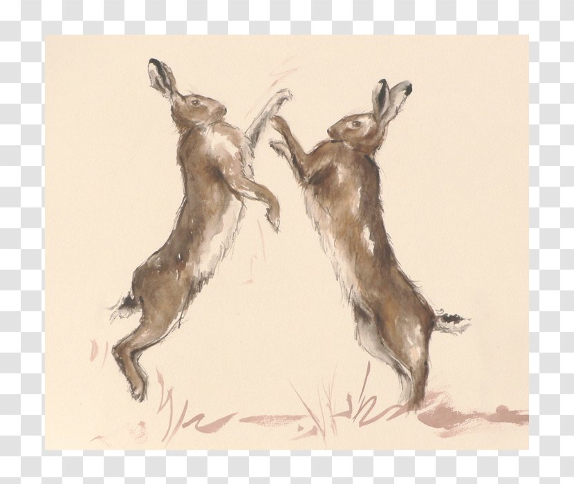 Hare Christmas Card Boxing Wildlife - Fauna Transparent PNG