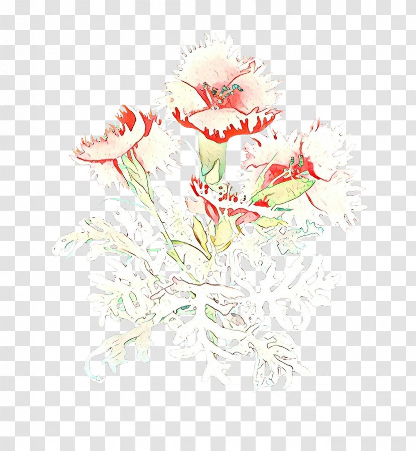 Floral Design Cut Flowers Rose Family Flower Bouquet - Dianthus Transparent PNG