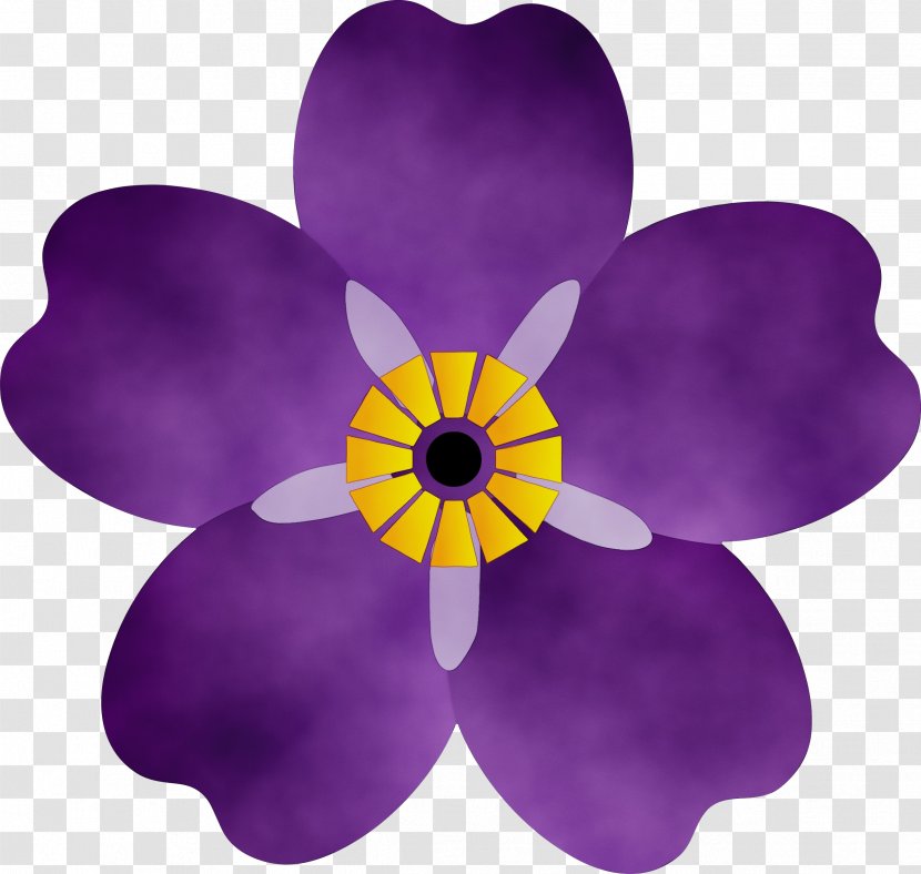 Petal Violet Purple Flower Plant - Family Wildflower Transparent PNG