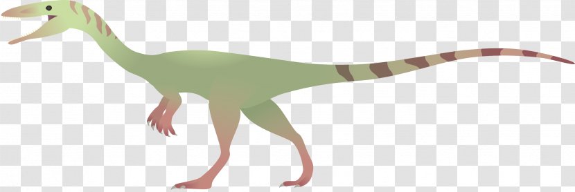 Coelophysis DeviantArt Velociraptor Drawing - Postosuchus - Streamer Transparent PNG