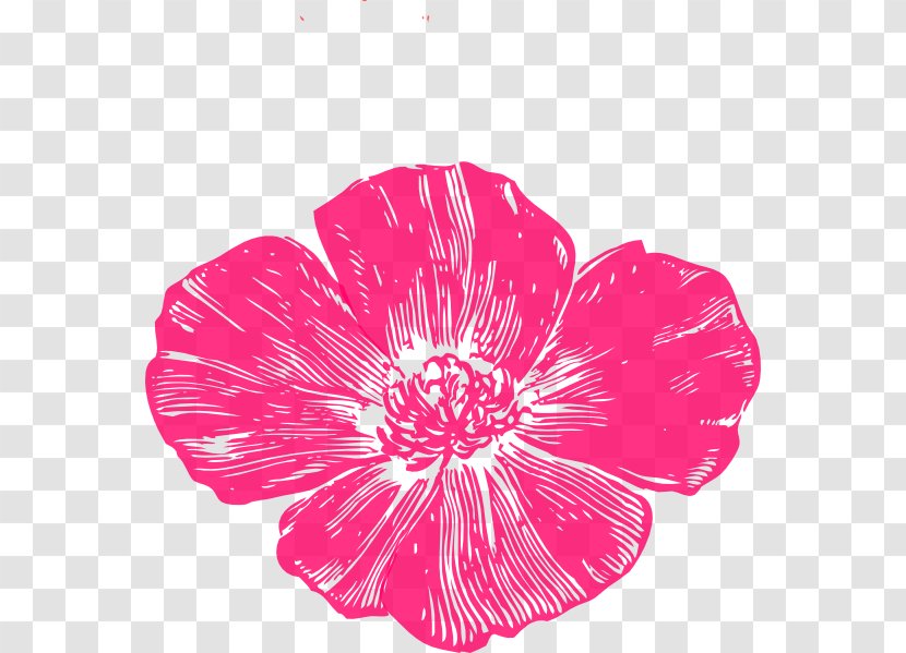 Poppies Bakery & Café Remembrance Poppy California Clip Art - Hibiscus - Corals Transparent PNG