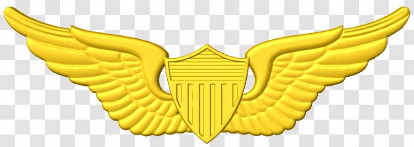 United States Astronaut Badge Aviator Clip Art Of America - Cnc Army Aviation Wings Transparent PNG