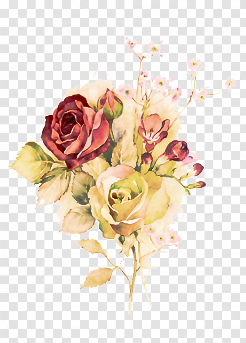 Garden Roses - Bouquet - Flower Arranging Plant Transparent PNG