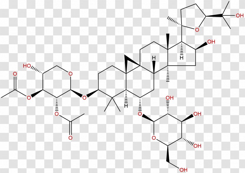 Ginsenoside Ginseng Chinese Herbology Huáng Qí Glycoside - Heart - ASTRAGALI RADIX Transparent PNG