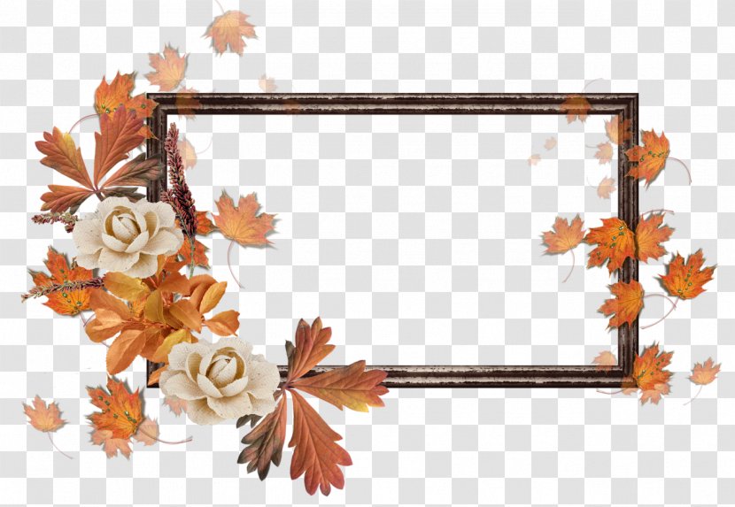 Cut Flowers Floral Design Leaf Twig - Picture Frames - Autumn Transparent PNG