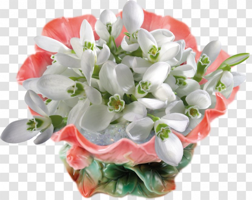 Snowdrop Daytime Flower LiveInternet Clip Art - Petal Transparent PNG