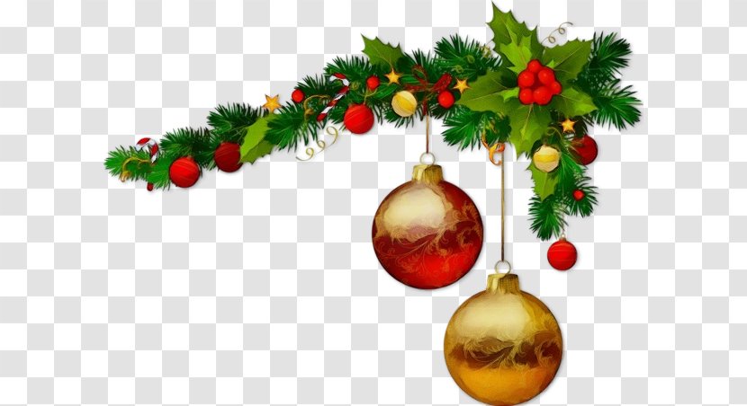 Christmas Decoration - Tree - Eve Branch Transparent PNG