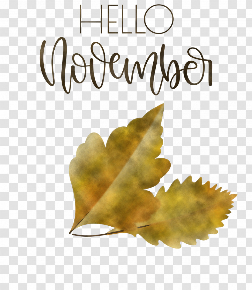 Hello November November Transparent PNG