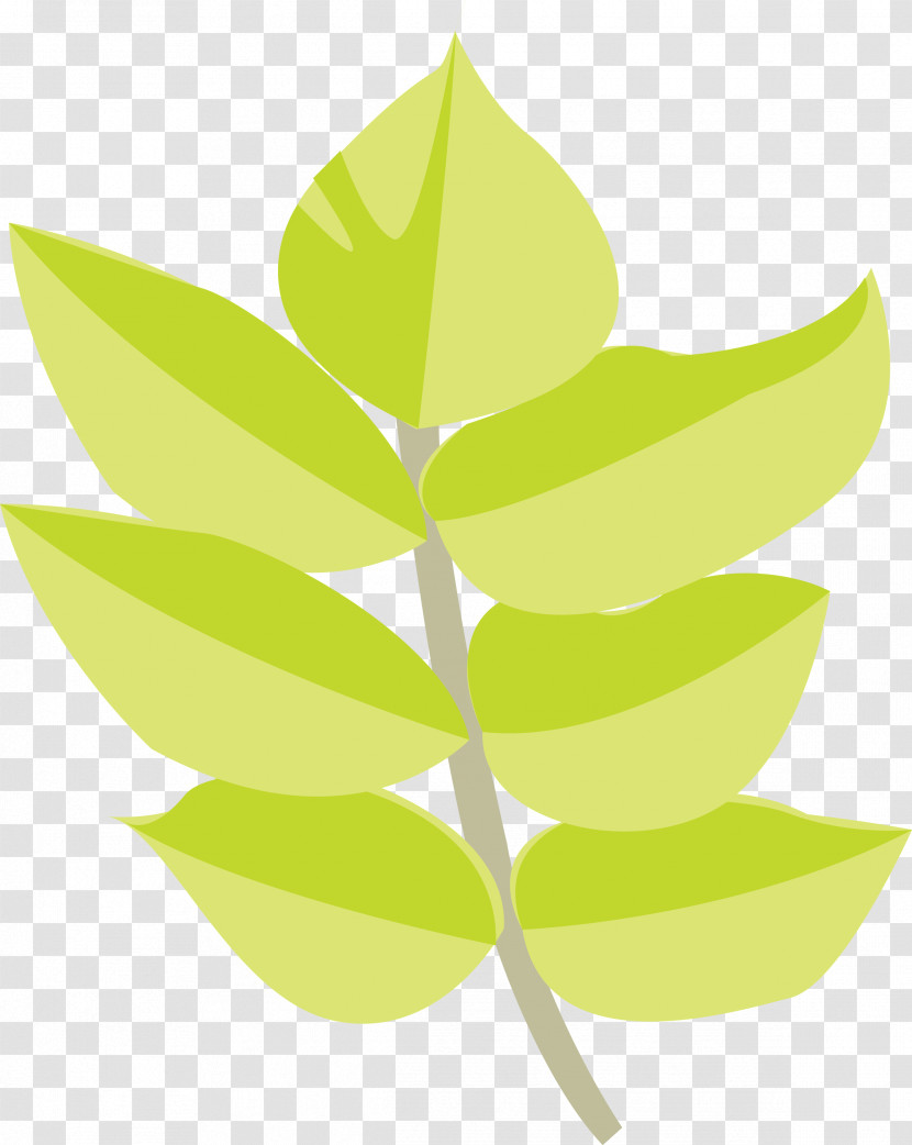 Leaf Green Plant Tree Flower Transparent PNG