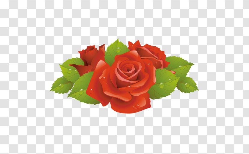 Rose Flower Clip Art - Family - Red Decorative Transparent PNG