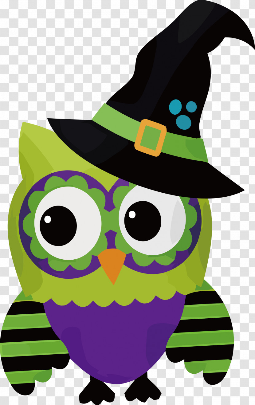 Birds Beak Character Owl M Bird Of Prey Transparent PNG