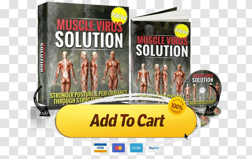 Muscle Virus Advertising Strength Camp Gym Social Media - Marketing - Fitness Transparent PNG