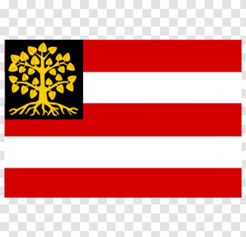 Vlag Van 's-Hertogenbosch Flag Naarden - Yellow Transparent PNG